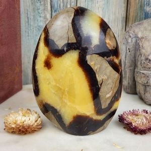 Polished Septarian freeform
